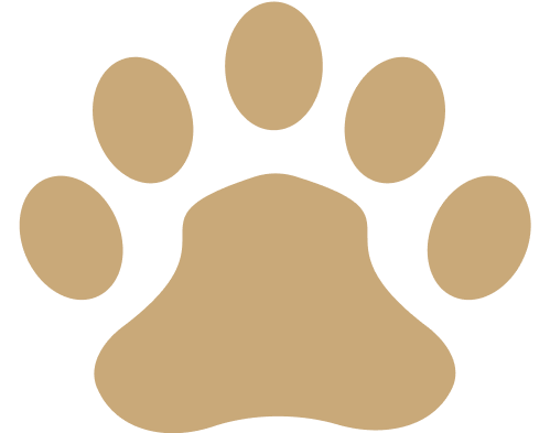 Paw icon